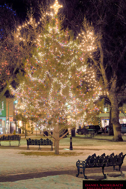Christmas Tree | Santa Fe Chamber of Commerce | Santa Fe, NM